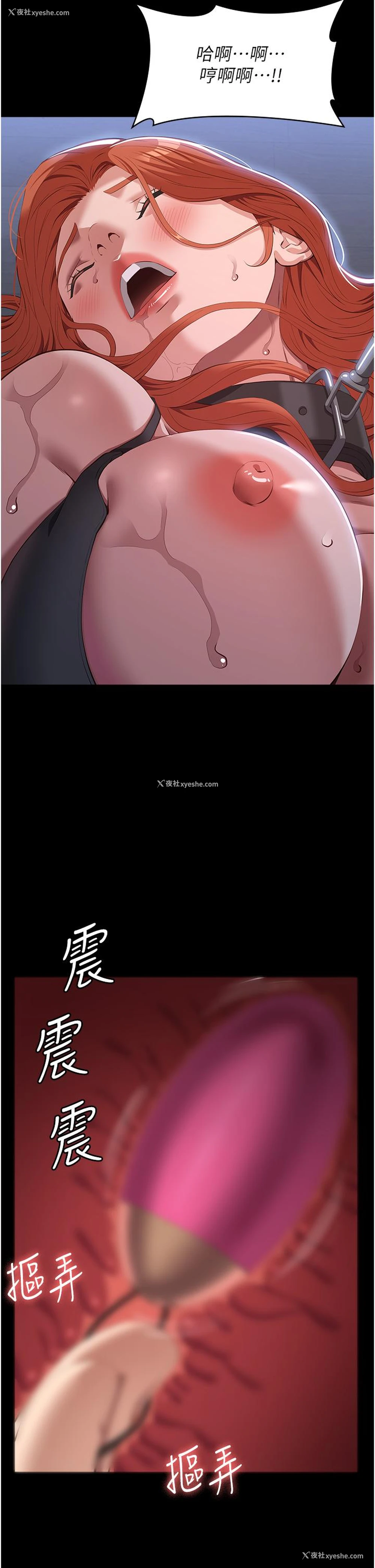 43P - 万能履历表