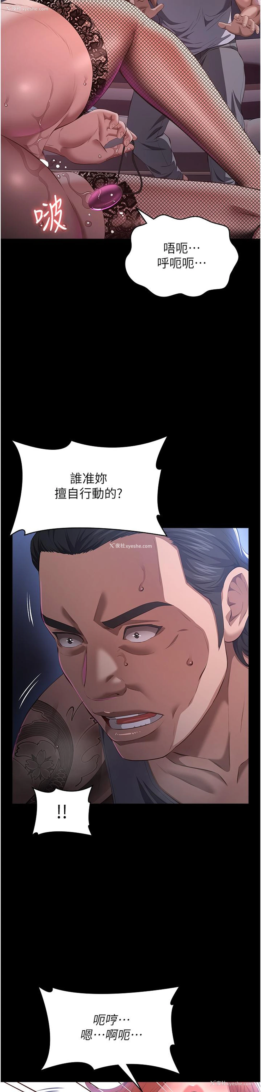 49P - 万能履历表