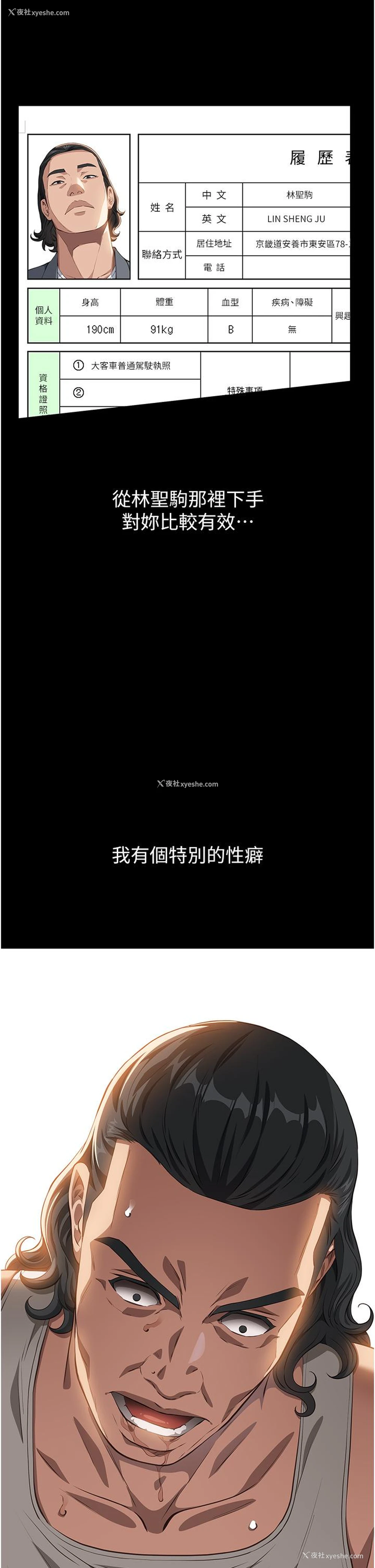 4P - 万能履历表