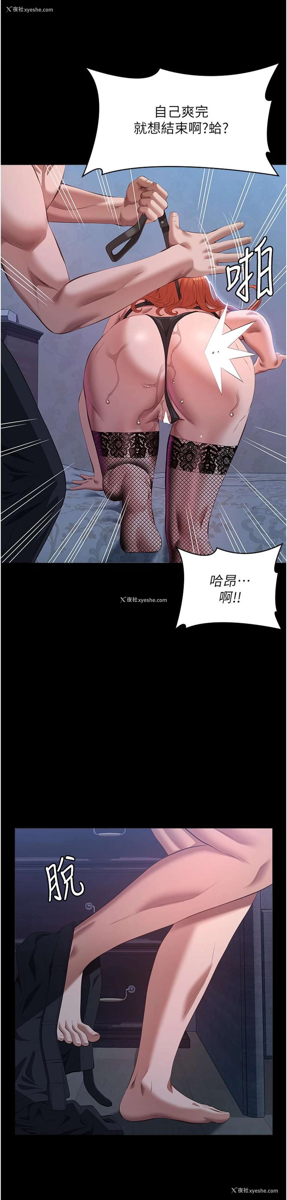 51P - 万能履历表