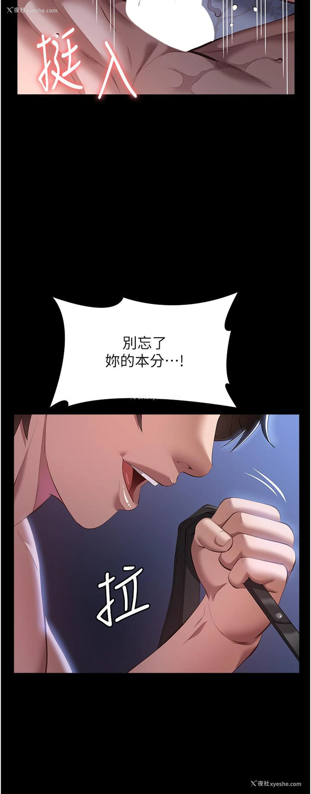 53P - 万能履历表