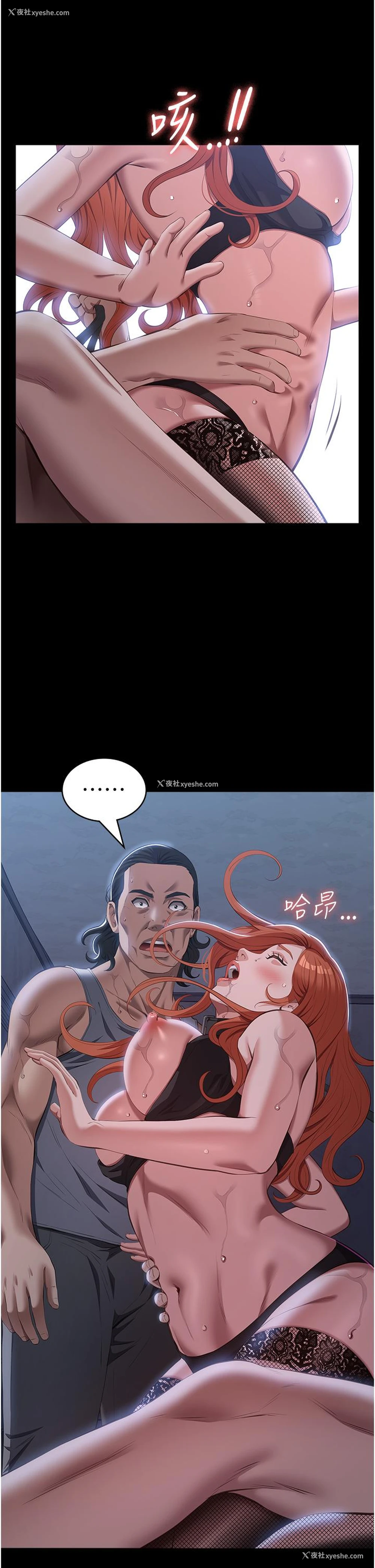 19P - 万能履历表