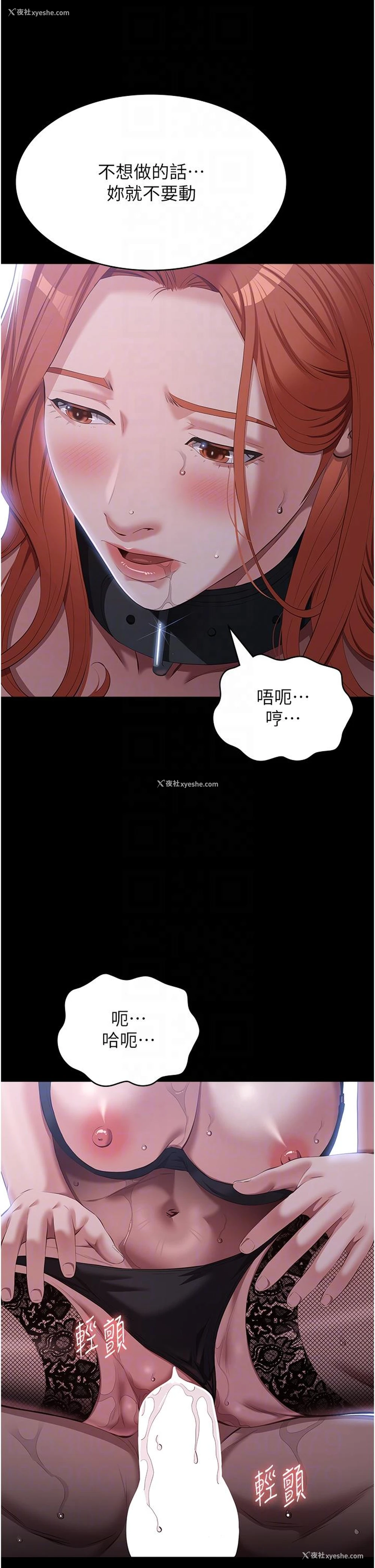 22P - 万能履历表