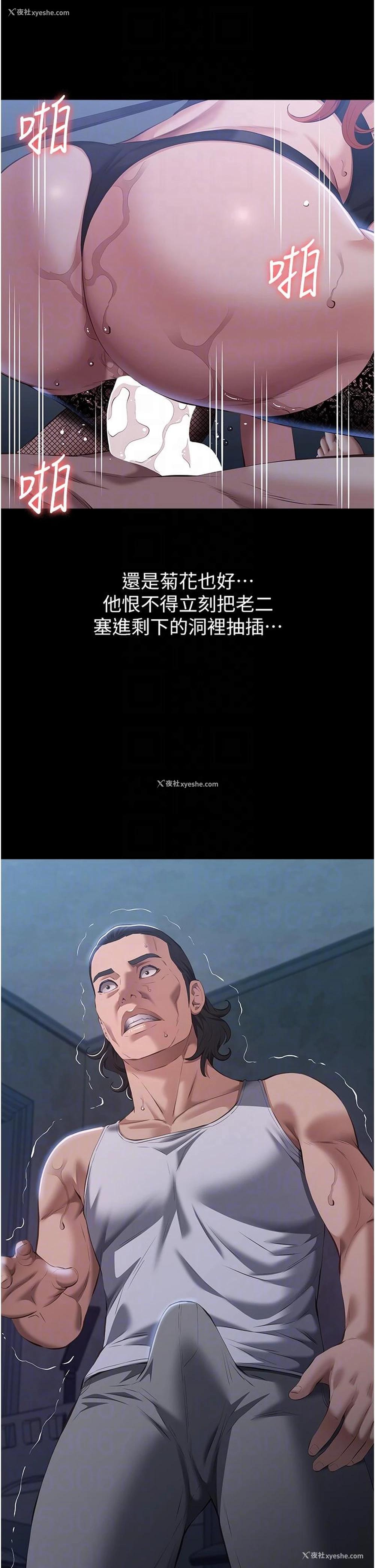 28P - 万能履历表