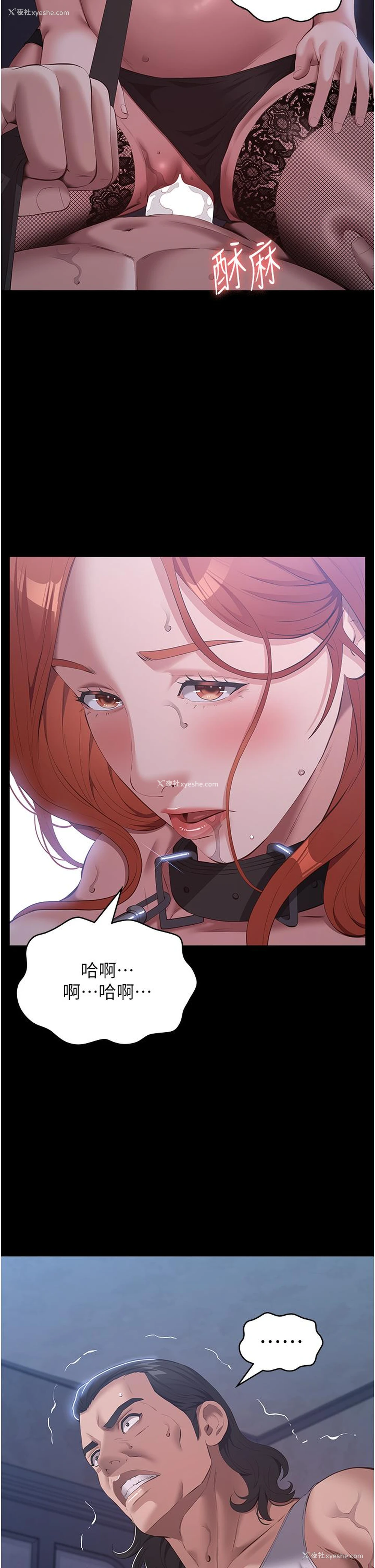35P - 万能履历表