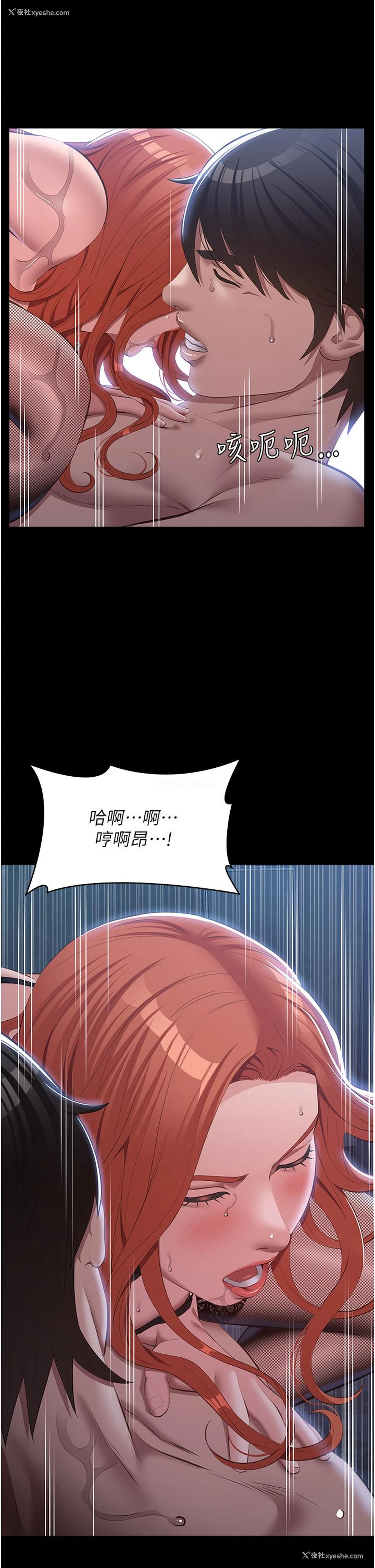 46P - 万能履历表