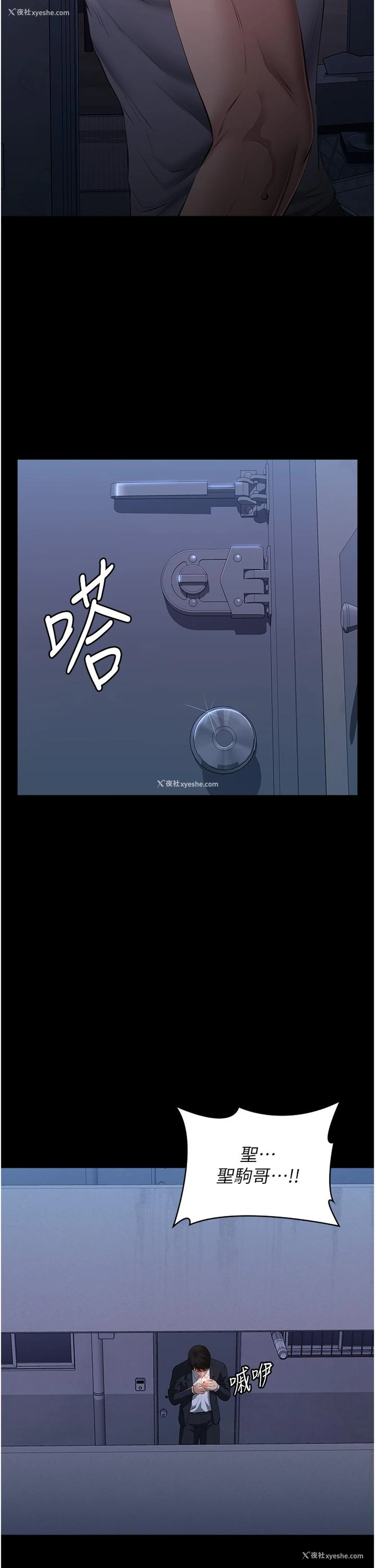 53P - 万能履历表