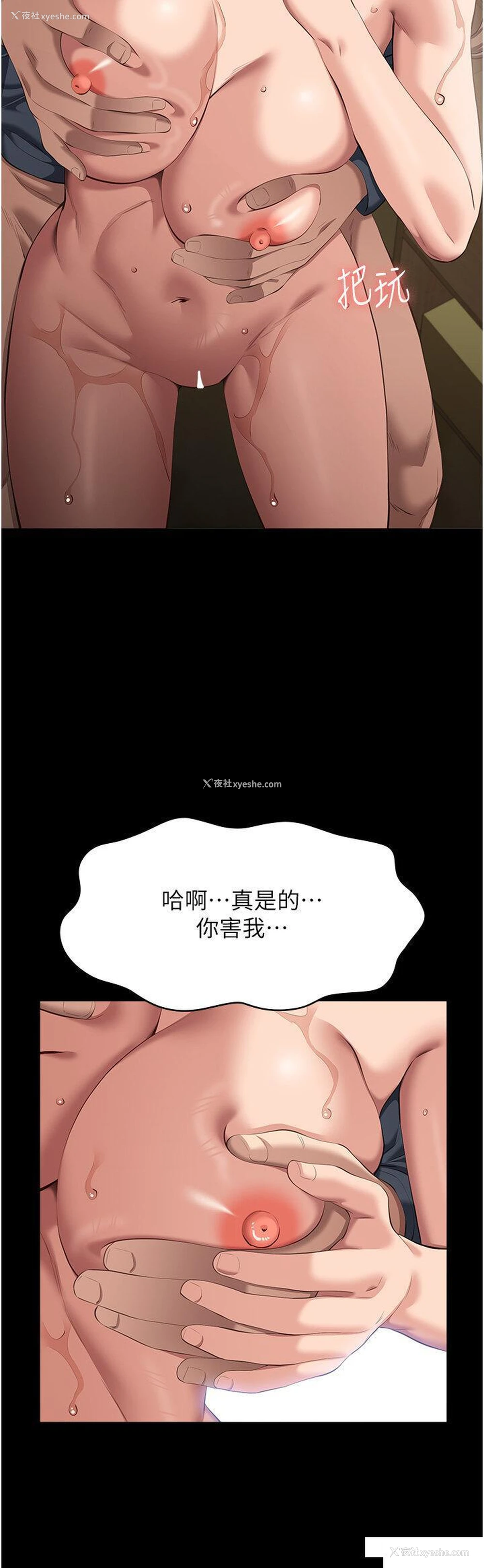 38P - 万能履历表