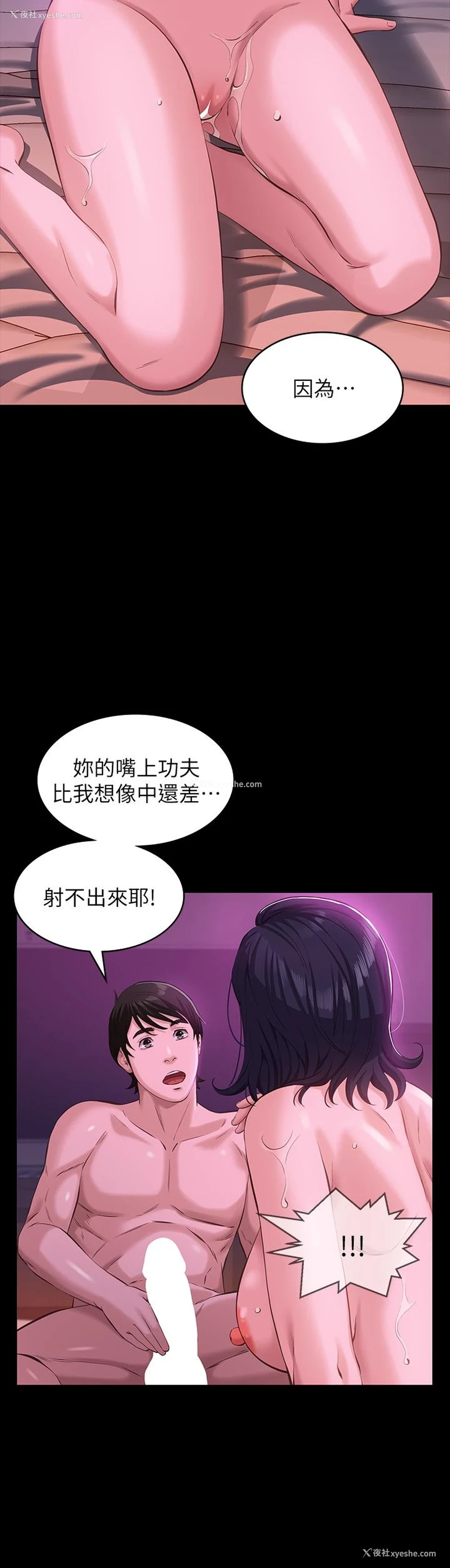 28P - 万能履历表