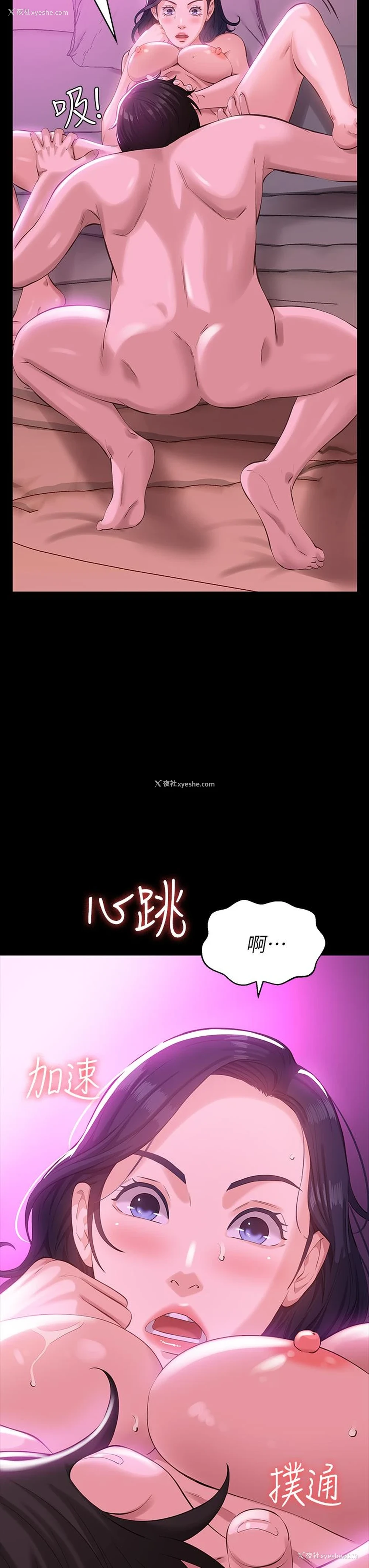 3P - 万能履历表