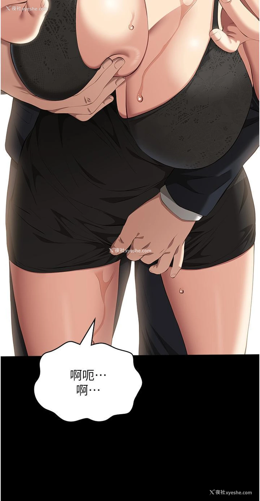 55P - 万能履历表