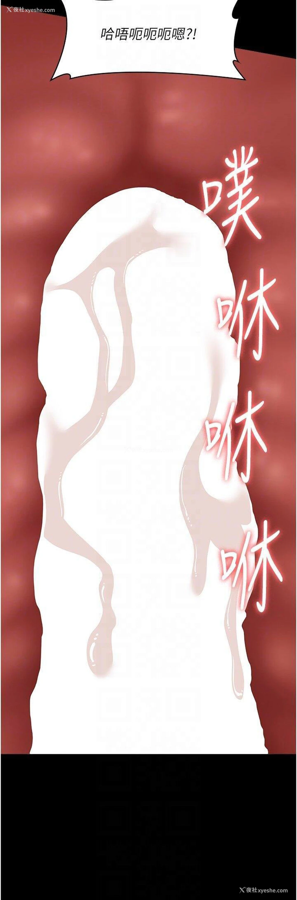 34P - 万能履历表