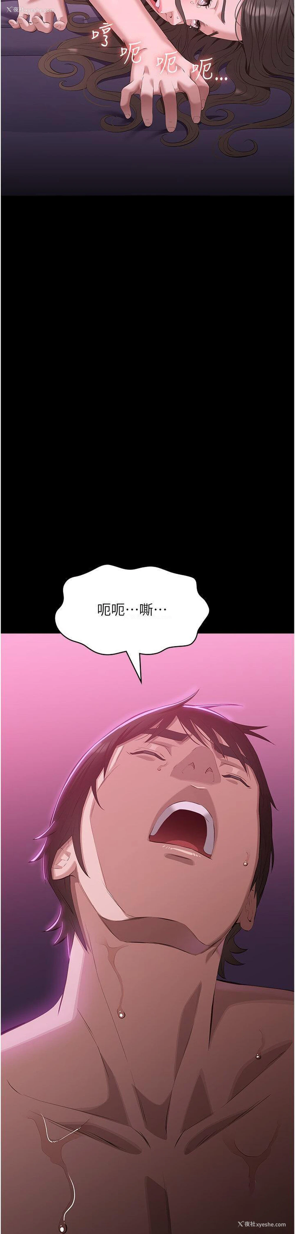 36P - 万能履历表