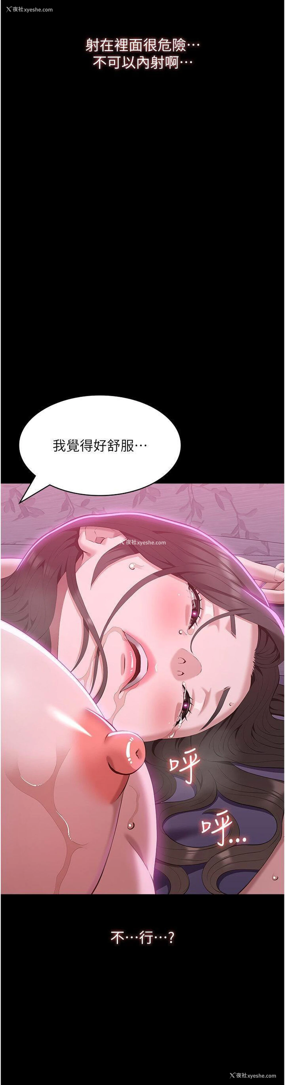 40P - 万能履历表