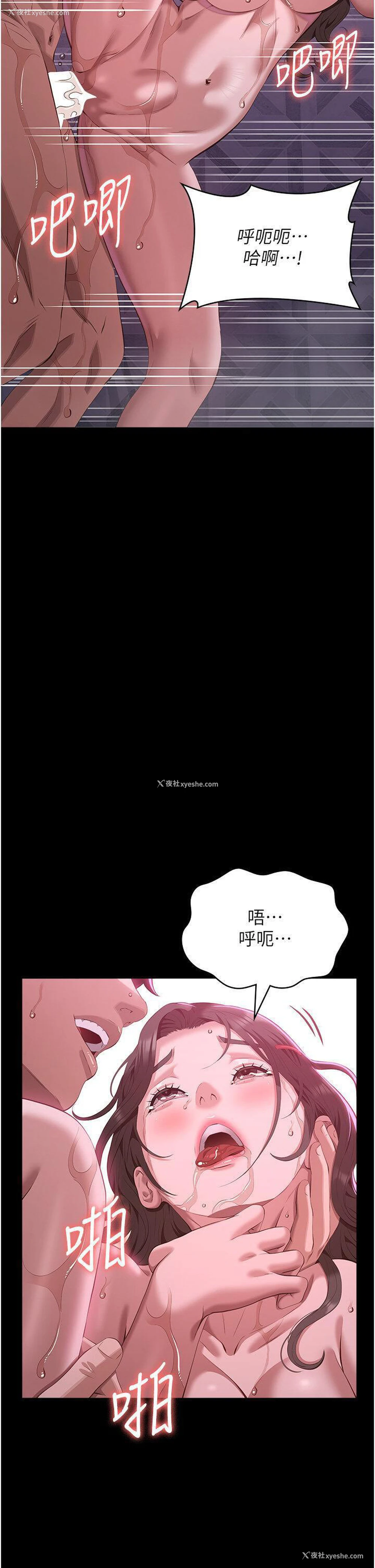 28P - 万能履历表