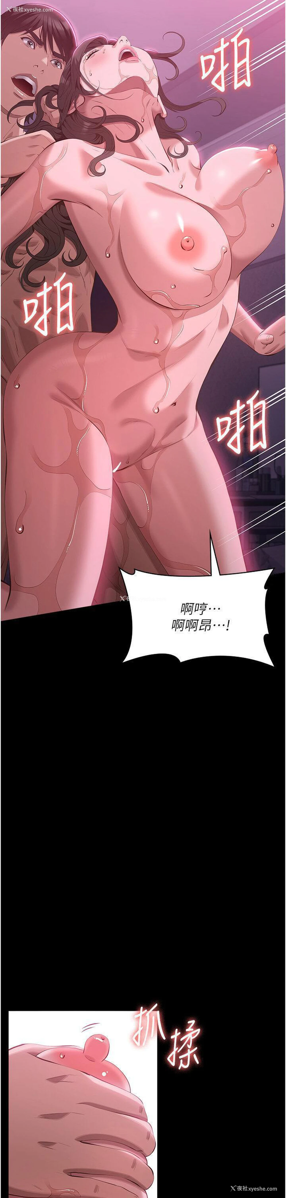 40P - 万能履历表