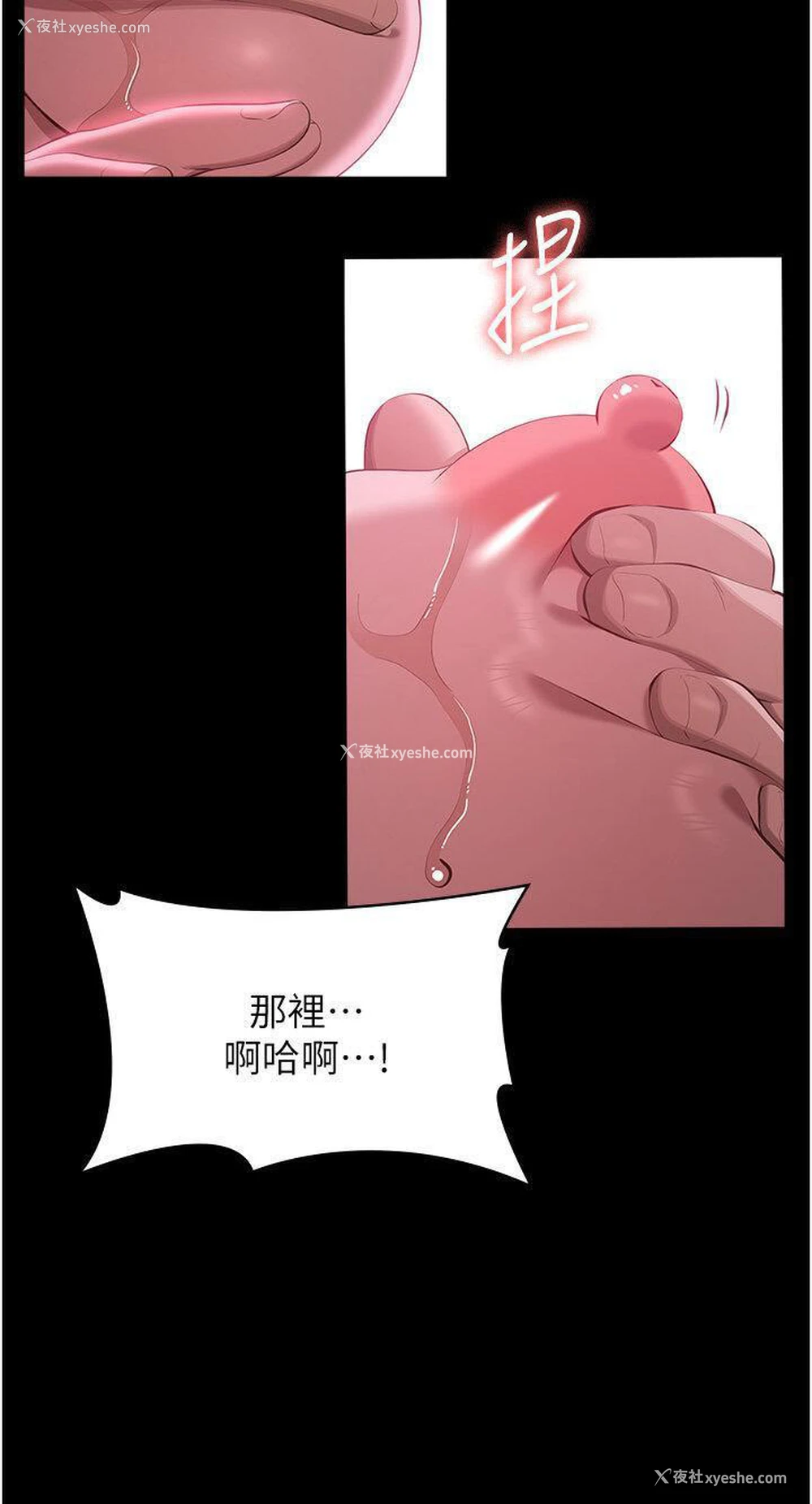 41P - 万能履历表
