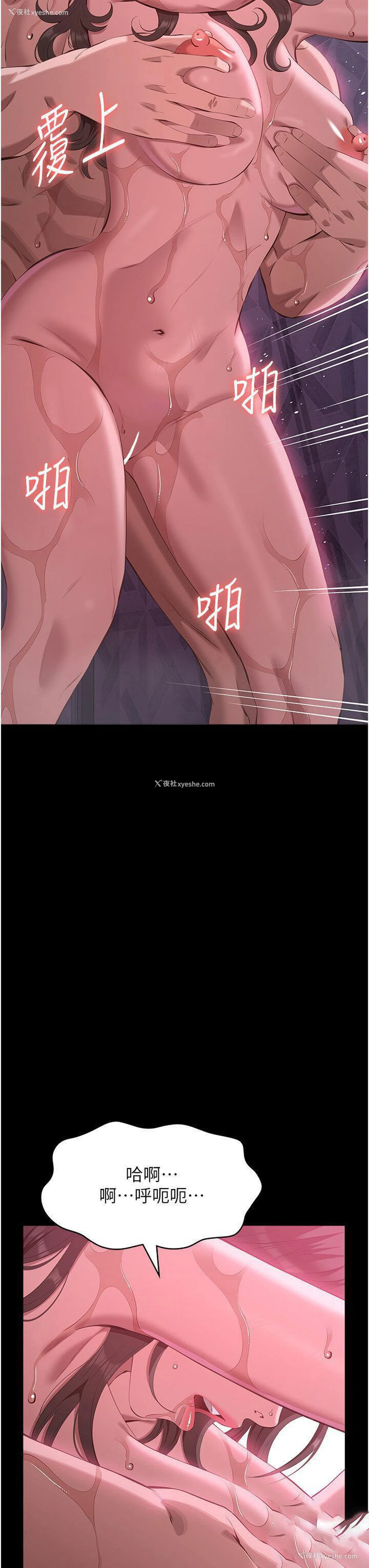 8P - 万能履历表