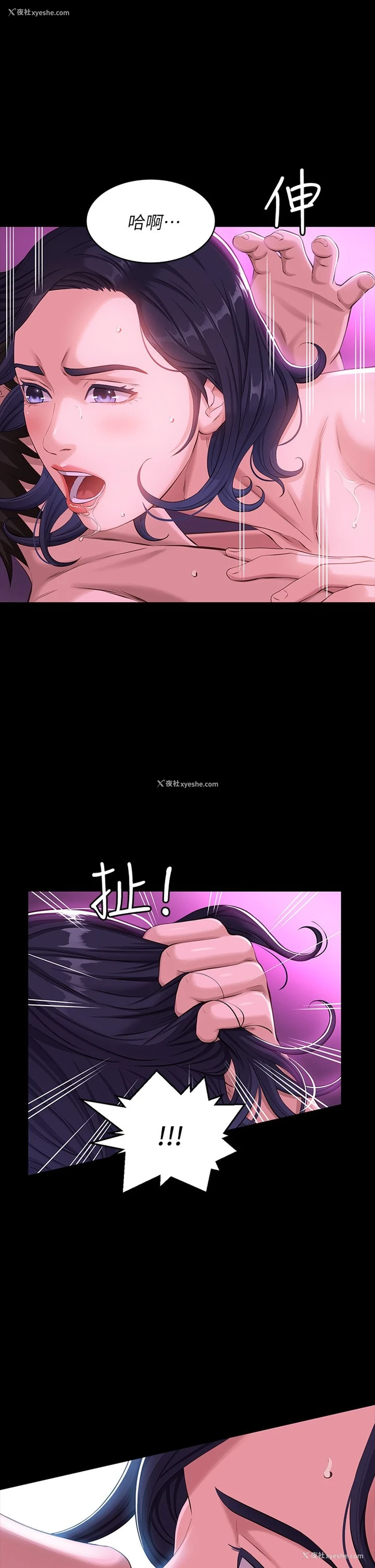 19P - 万能履历表