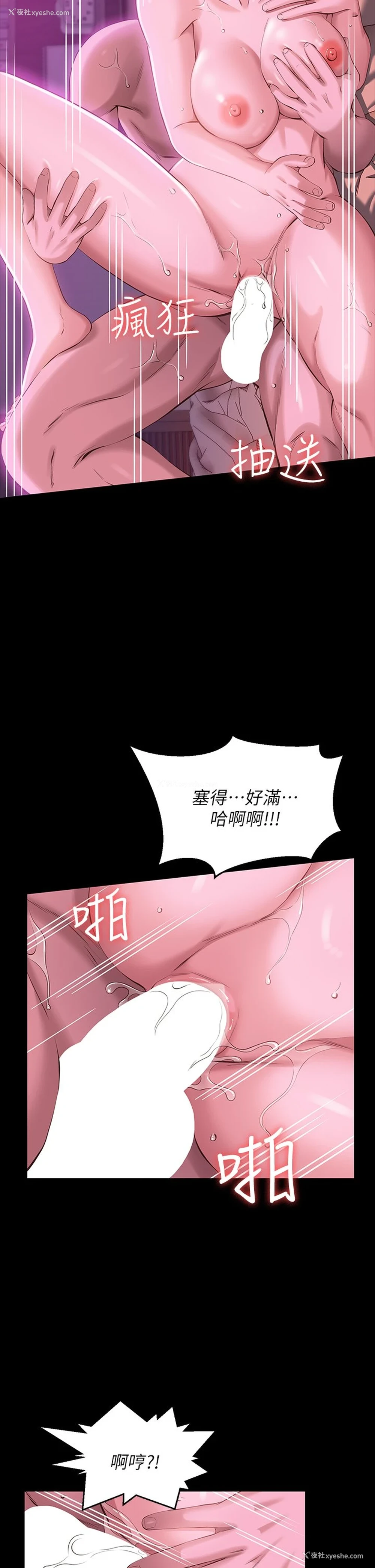 24P - 万能履历表