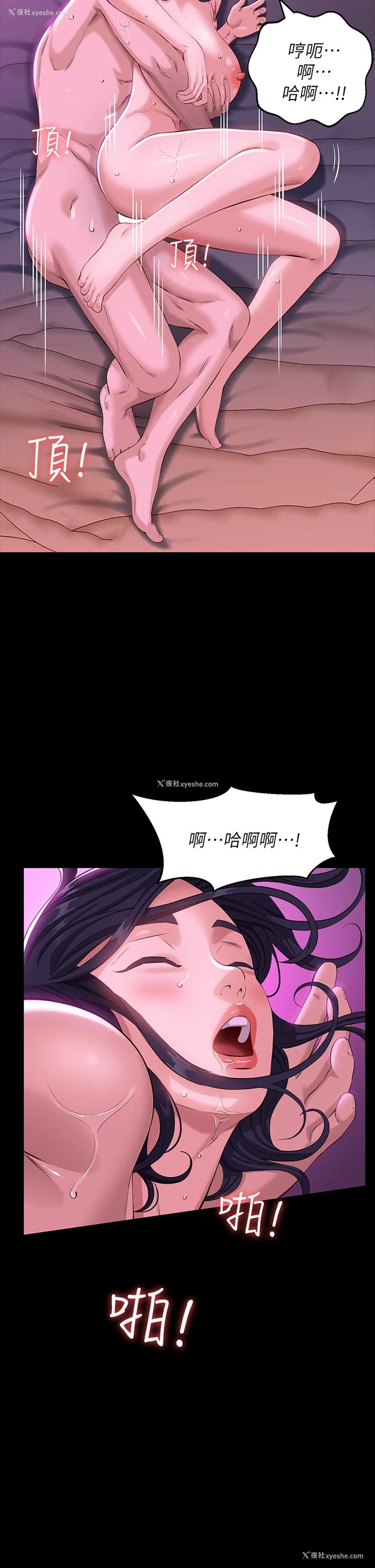 26P - 万能履历表