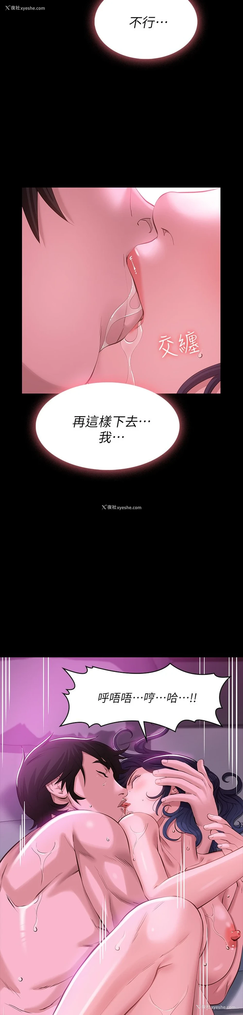28P - 万能履历表