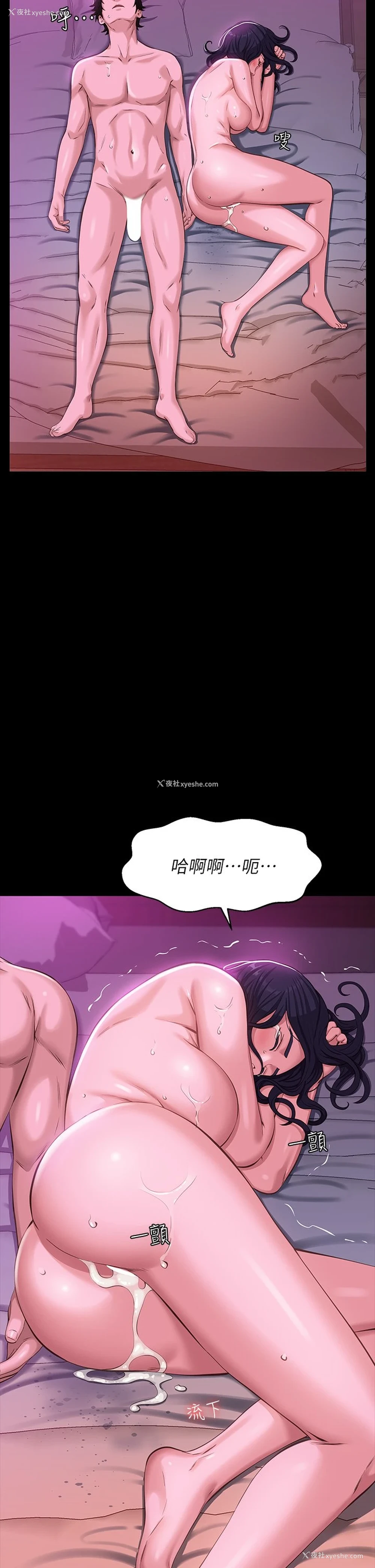 33P - 万能履历表