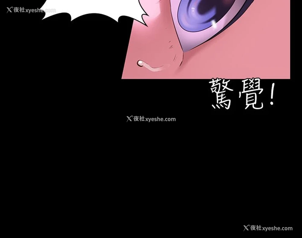 36P - 万能履历表