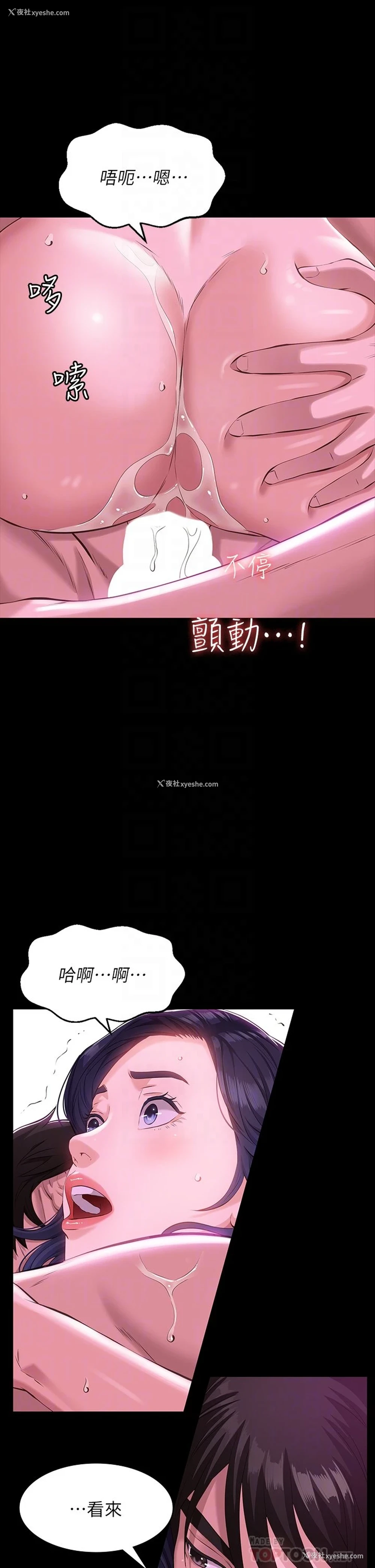 6P - 万能履历表