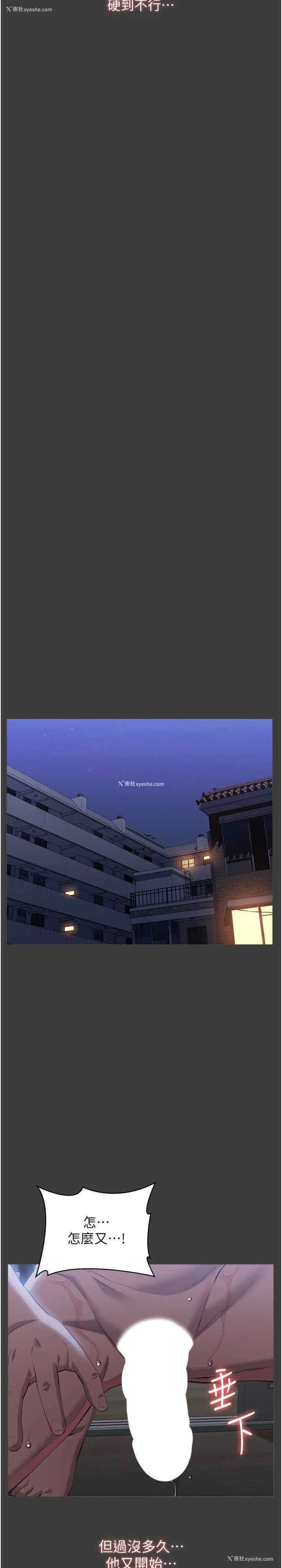 33P - 万能履历表
