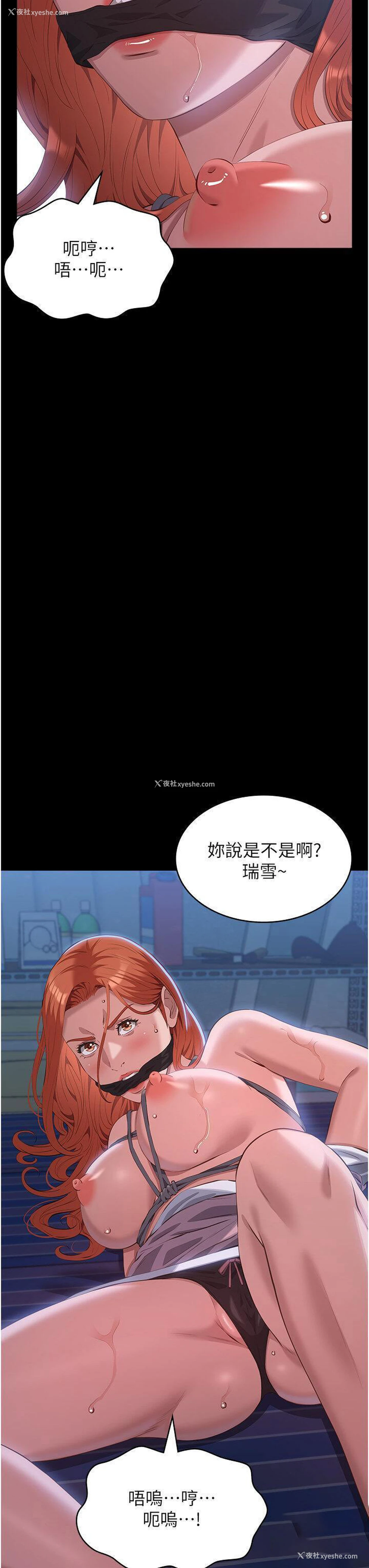 36P - 万能履历表