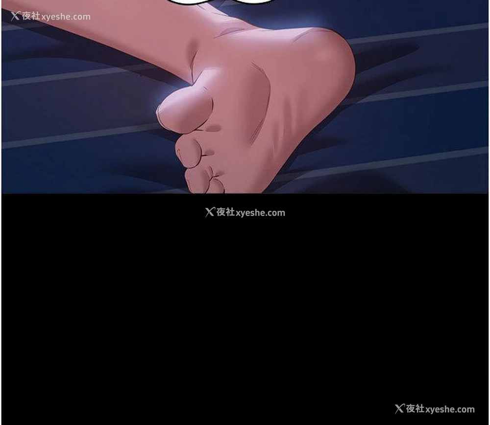 37P - 万能履历表