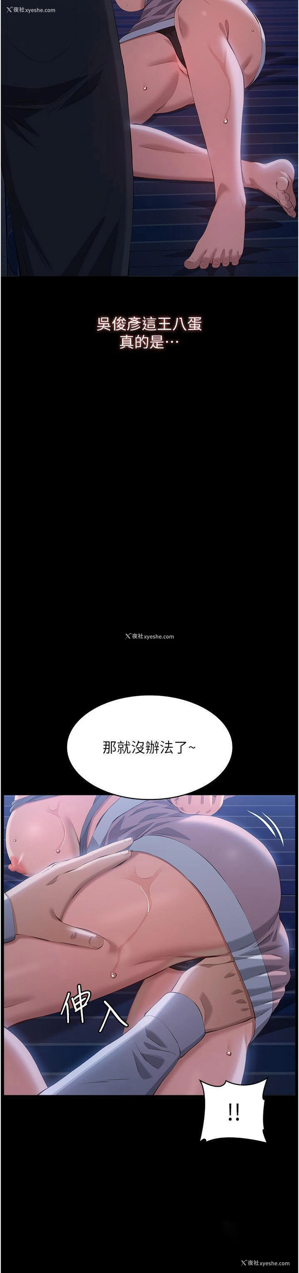 43P - 万能履历表
