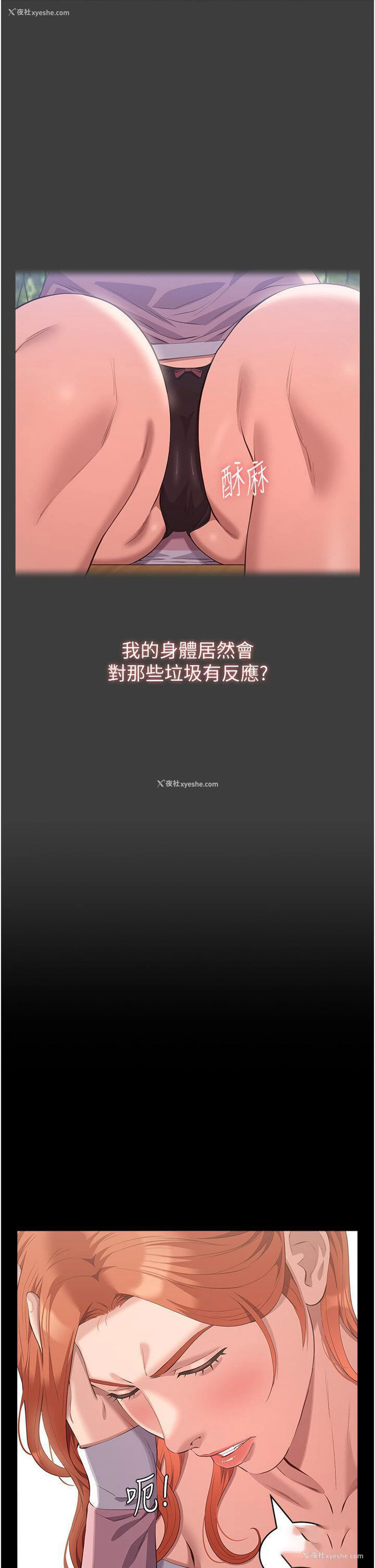 8P - 万能履历表