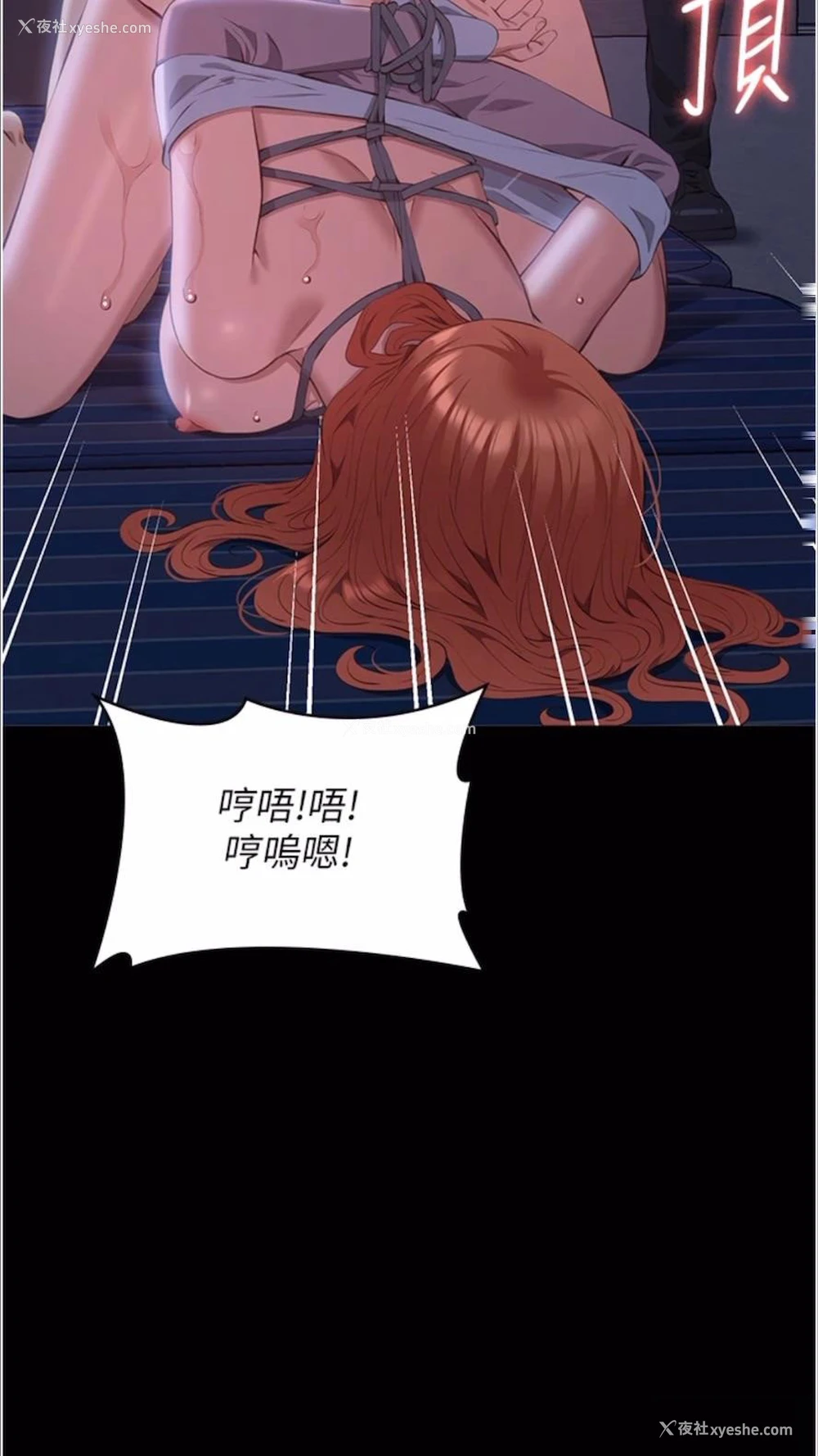 10P - 万能履历表
