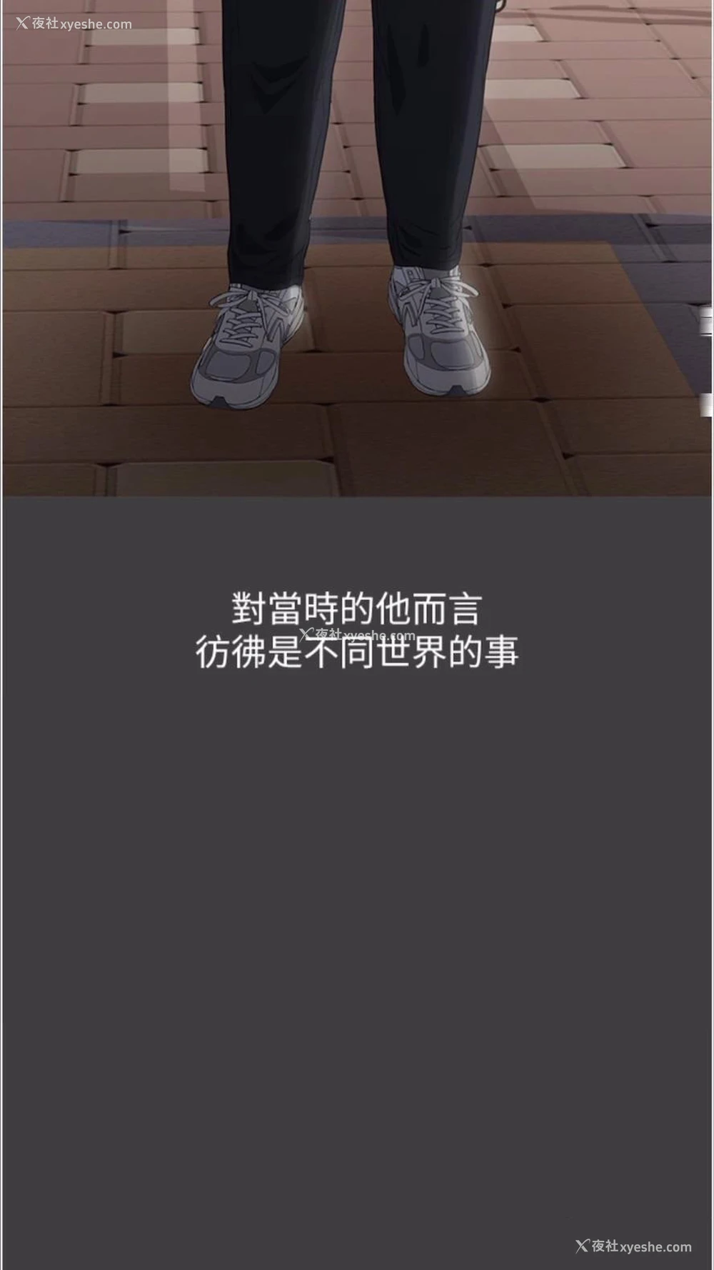 18P - 万能履历表