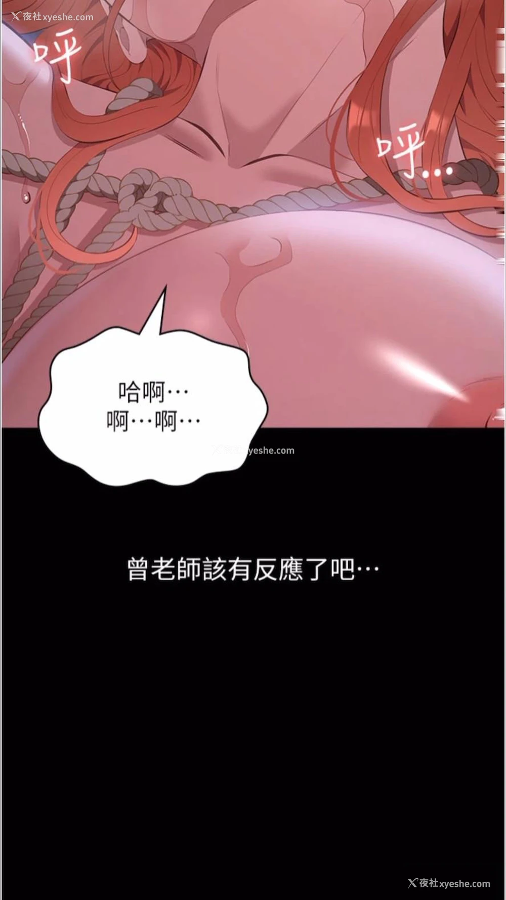 95P - 万能履历表