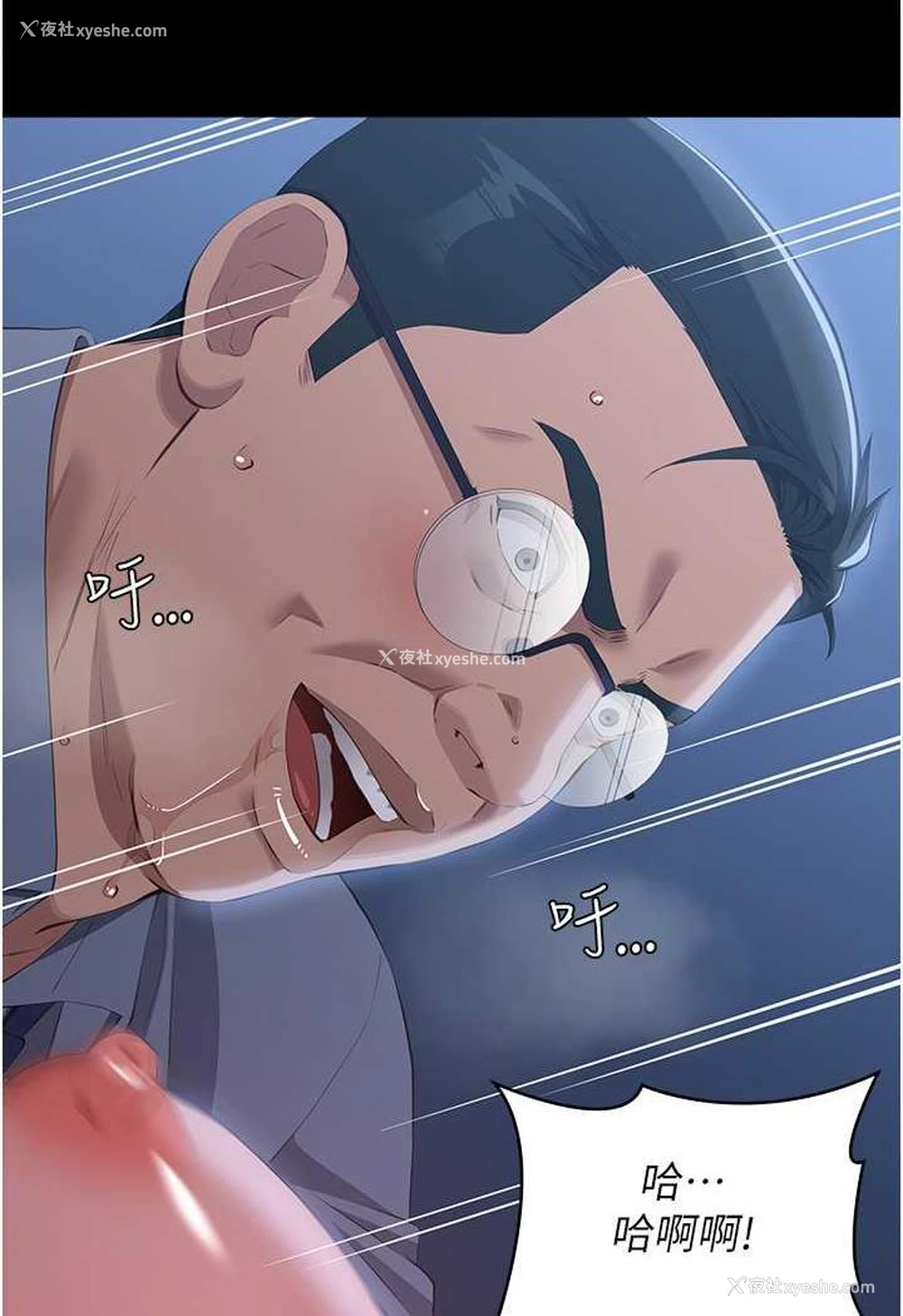 19P - 万能履历表