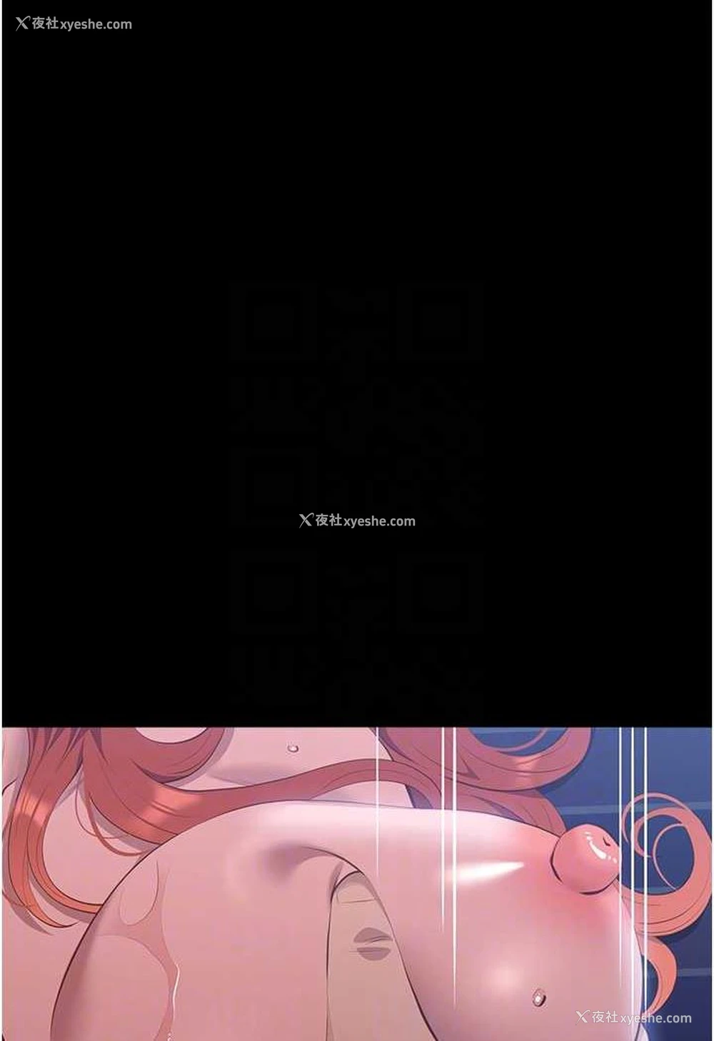 24P - 万能履历表