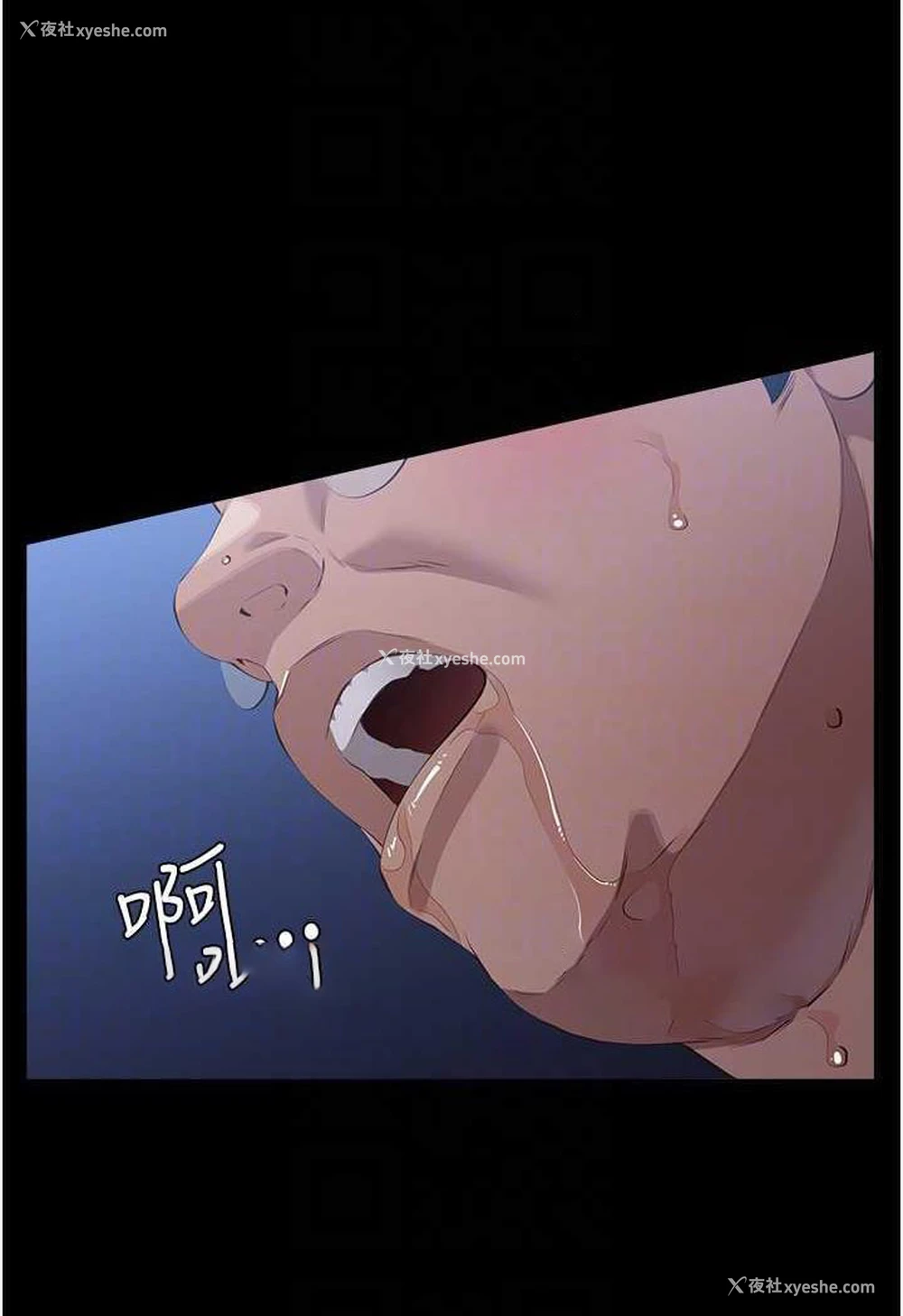 45P - 万能履历表