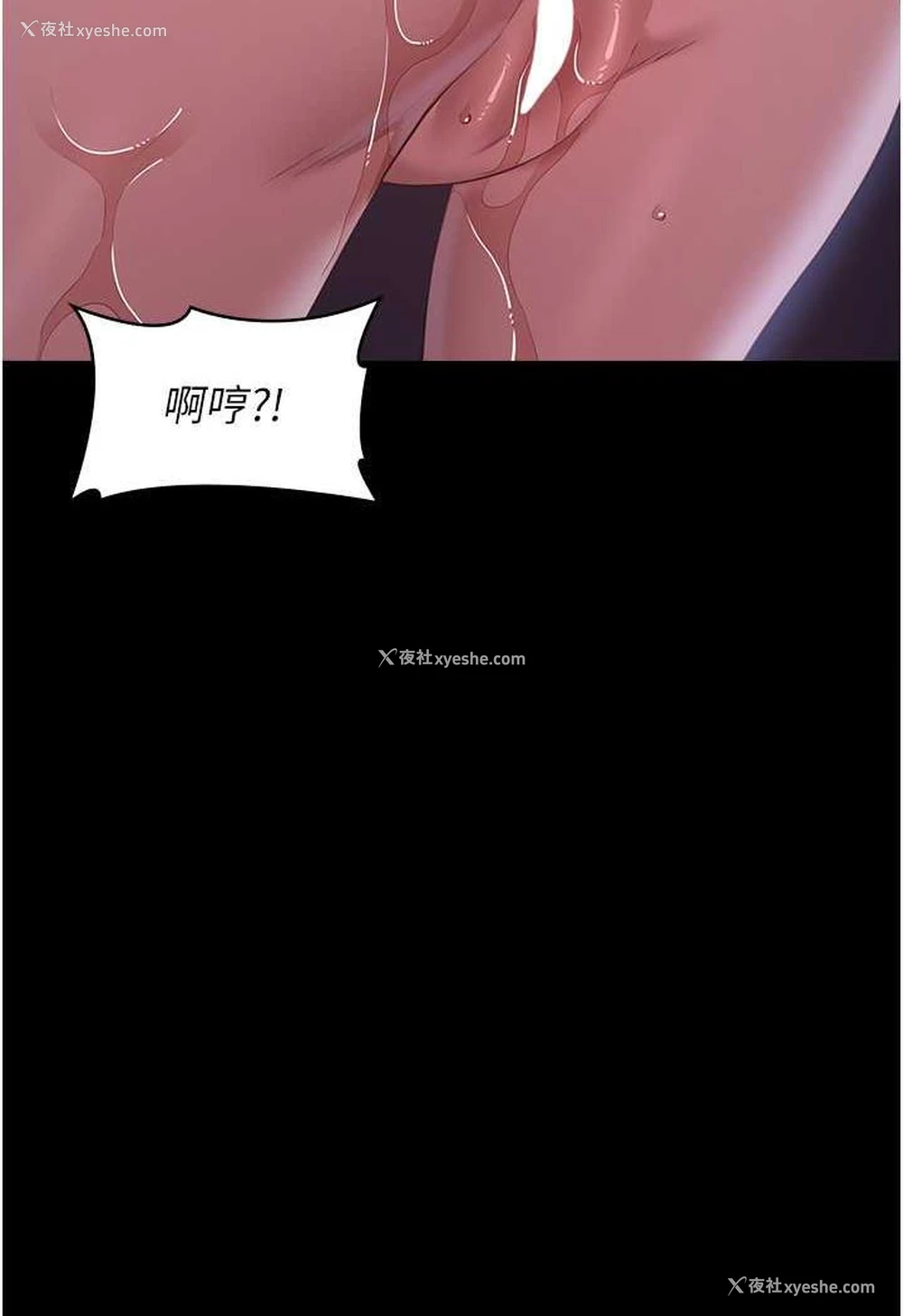 92P - 万能履历表