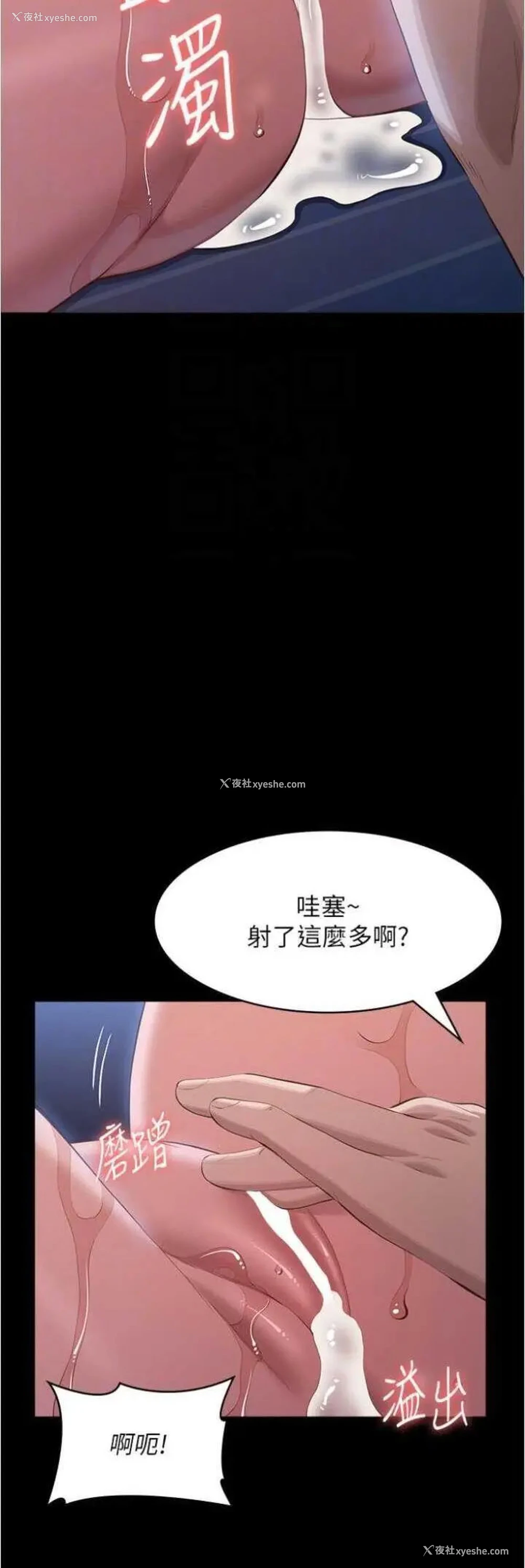 41P - 万能履历表