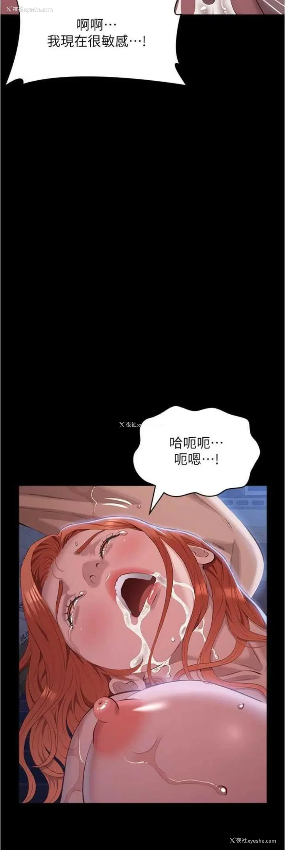 43P - 万能履历表