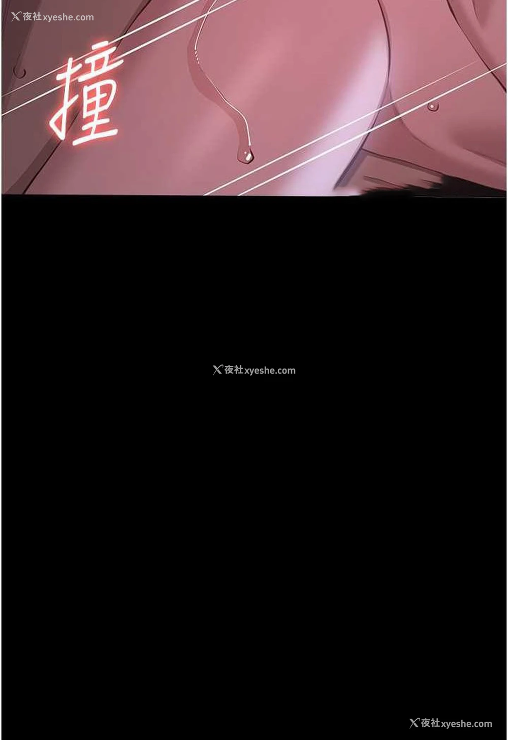 63P - 万能履历表