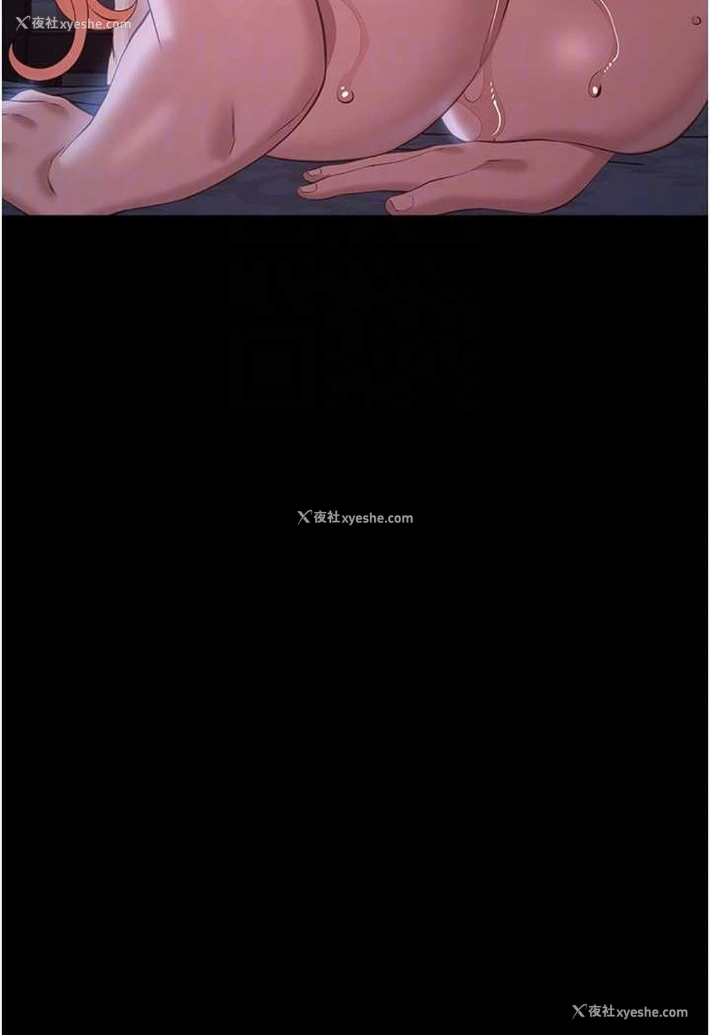 85P - 万能履历表