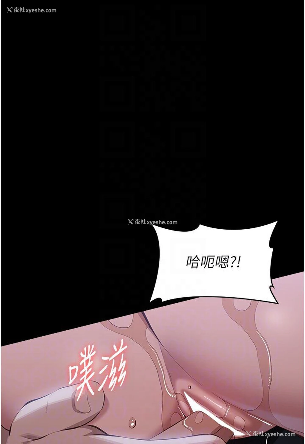 27P - 万能履历表