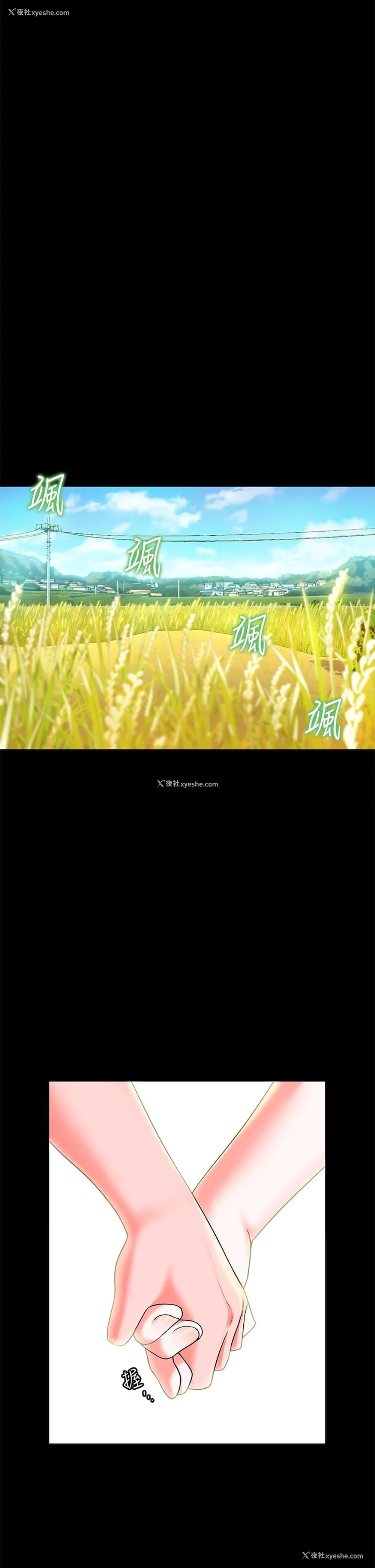7P - 幸福小岛