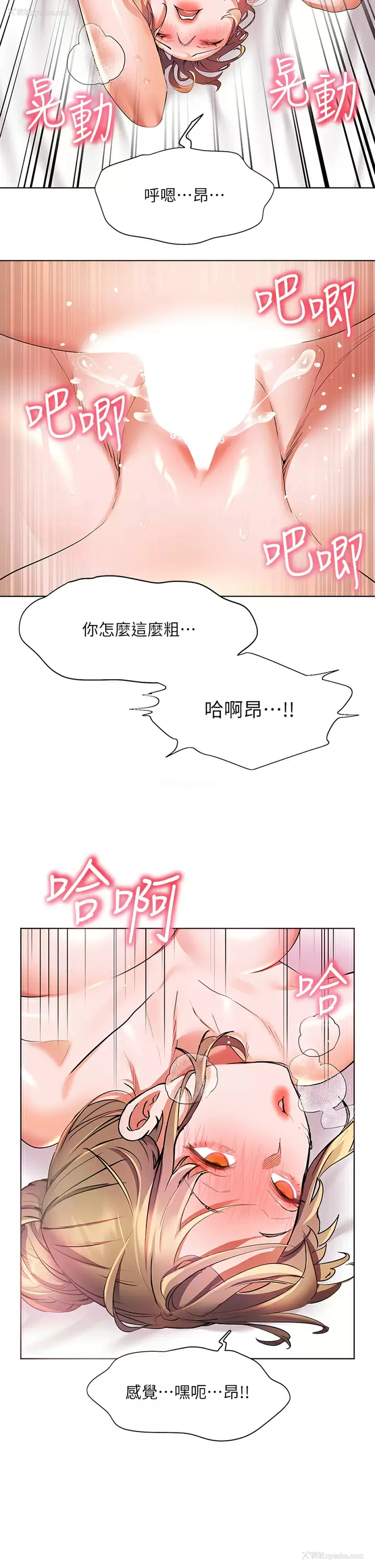 37P - 幸福小岛