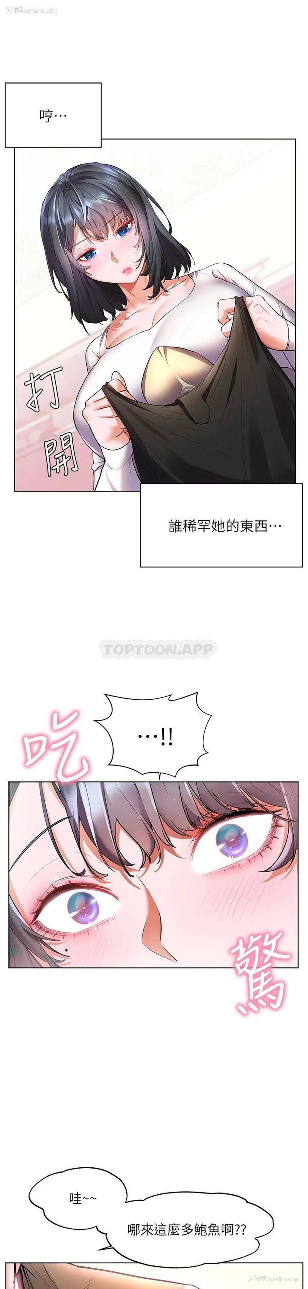 7P - 幸福小岛