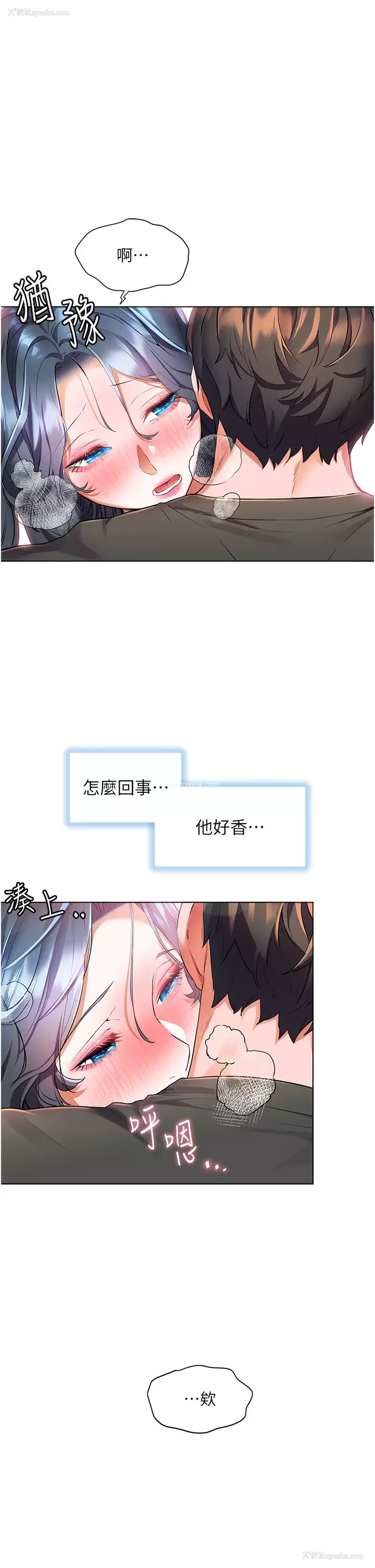 7P - 幸福小岛